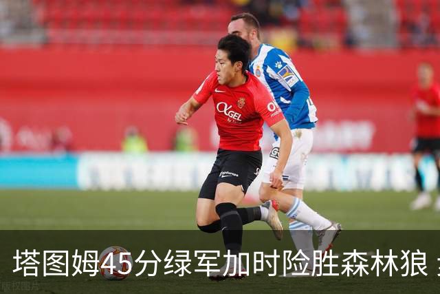 塔图姆45分绿军加时险胜森林狼 步行者克奇才